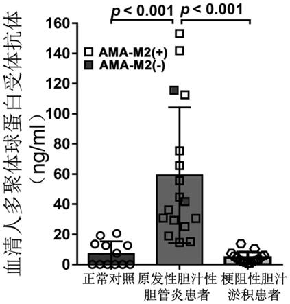 一種原發性膽汁性膽管炎診斷用分子標誌物及其應用