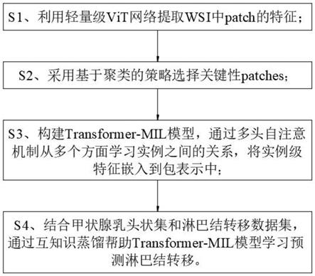 一種基於transformermil的甲狀腺乳頭狀癌淋巴結轉移預測方法