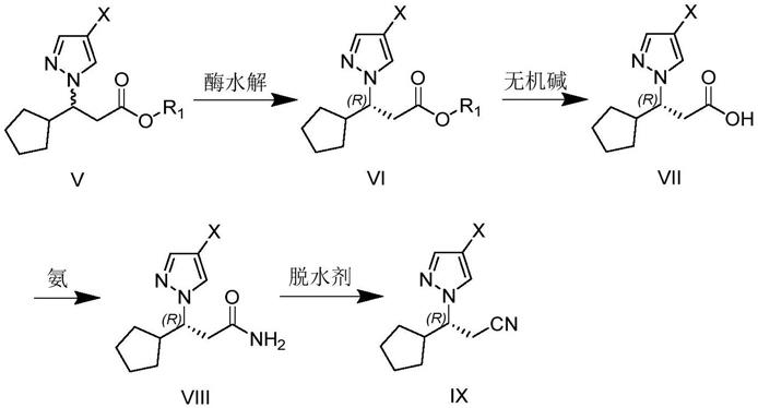 r34滷代1h吡唑1基3環戊基丙酸酯的製備方法