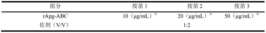 副鸡嗜血杆菌三价基因工程亚单位疫苗制备方法及运用与流程