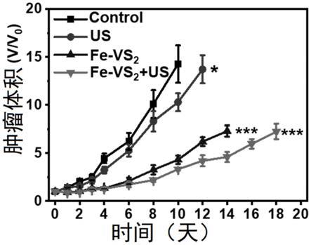 掺杂型金属硫化物及其制备和应用