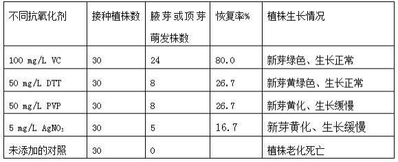 一种防治组培苗老化的综合方法及应用