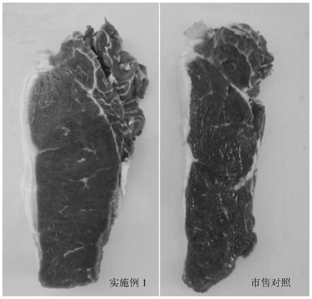 一种饲喂紫玉米及秸秆青贮改善育肥牛肉品质的方法