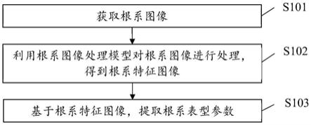 一种根系图像处理方法与流程