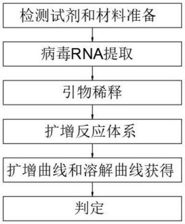 一種針對塞尼卡谷病毒的核酸快速檢測方法與流程