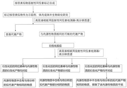 核苷类药物生物转化研究中排除内源性物质干扰的方法与流程