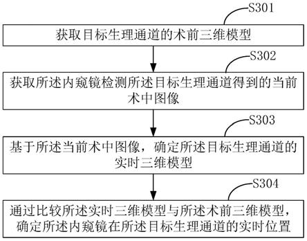 内窥镜定位的处理方法、装置、手术系统、设备与介质与流程