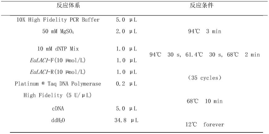 杜仲漆酶EuLAC1基因及其用途