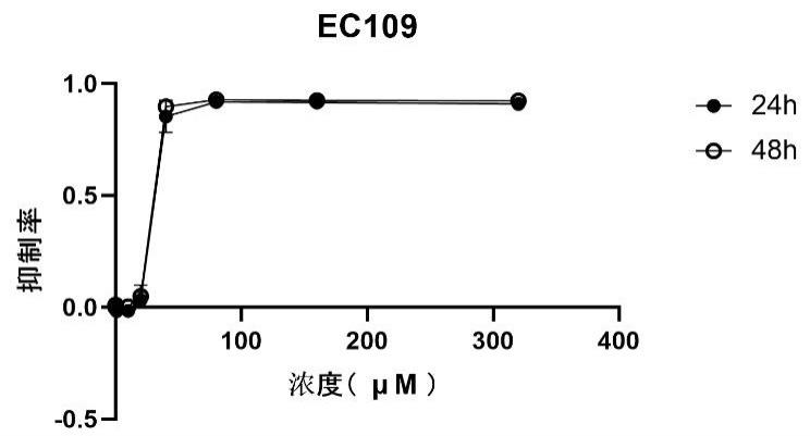 罗替戈汀及其衍生物的抗肿瘤活性和应用的制作方法