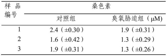 一种碳电极的制备及植物桑色素的检测方法和应用