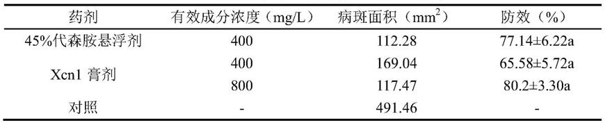 一种含Xcn1的微生物源杀菌膏剂、制备方法及应用