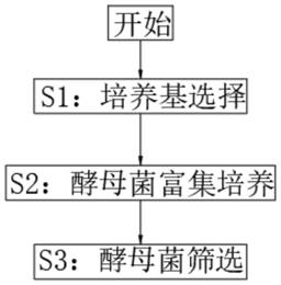 枇杷原浆啤酒酵母发酵方法与流程