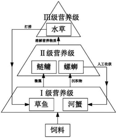 一种草鱼-河蟹-螺多营养级池塘系统及池塘养殖方法与流程