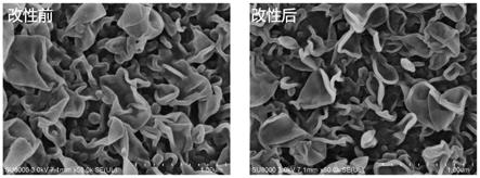 一种可再生耐氯高通量聚酰胺复合膜的改性方法