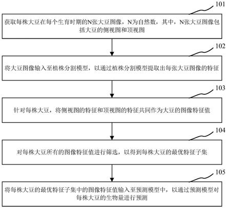 一种大豆全生育期生物量无损测量方法