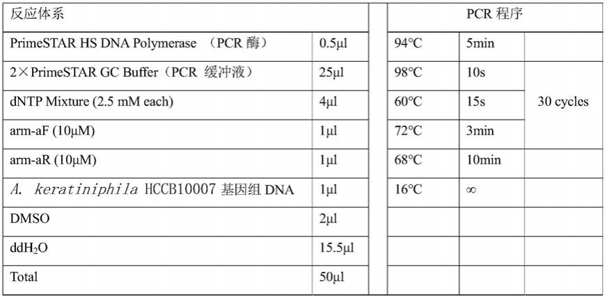 一种含有双sgRNA的特异性基因敲除的CRISPR/Cas9编辑质粒及其应用的制作方法