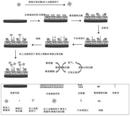 一种电化学生物传感器及其制备方法和应用