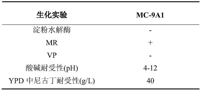 一株拜耳接合酵母及其应用的制作方法