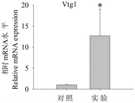 一种生物-化学联合检测再生水中微量雌激素内分泌干扰化合物污染的方法