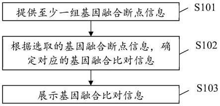 一种基因融合位点展示方法及装置与流程