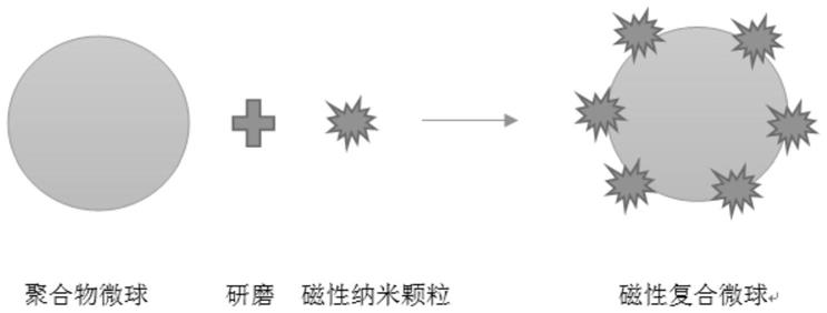 一种功能化磁性微球的制备方法与流程