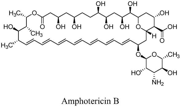 一种两性霉素B的杂质A或杂质B的分离纯化方法与流程