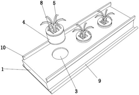 一种植物扦插种植装置的制作方法