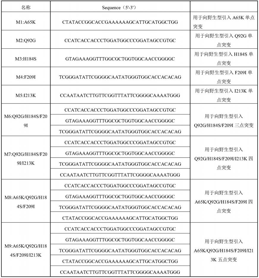 一种高效降解聚对苯二甲酸乙二醇酯的角质酶突变体及应用