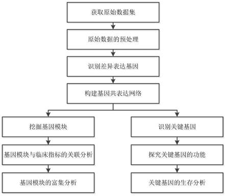 基于基因共表达网络分析的癌症转录组数据处理方法与流程