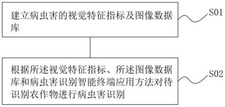 病虫害识别智能终端应用方法及系统与流程