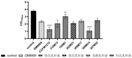 一株抑制陰道加德納菌生長與生物膜並高產過氧化氫的副格氏乳桿菌