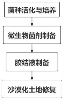 一种微生物修复沙漠化土地并固化表层土壤重金属的方法与流程