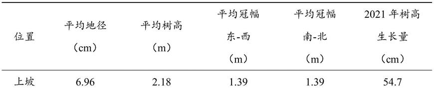 一种干旱石质阳坡樟子松造林方法