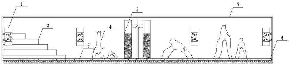 一种生态景观鱼缸的布置系统
