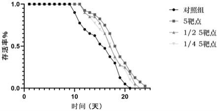 一种植物发酵组合物及其制备方法和应用与流程