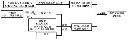 一种RNA生物芯片及其制备方法与应用