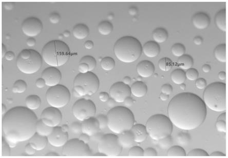 一种含盐酸吡柔比星的微球及其制备方法和应用与流程