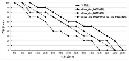 一种肿瘤基因诊断试剂盒的制作方法