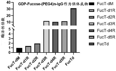 重组幽门螺杆菌的岩藻糖基转移酶突变体及应用的制作方法