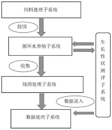 一种鲍单个体食物转化率精准测评的系统及方法