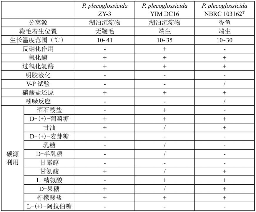 一株耐酸耐碱快速脱氮的好氧反硝化细菌、菌剂及其应用