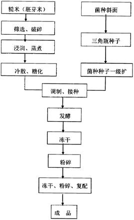 一种富含多种活性成分的糙米发酵物的制作方法