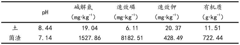 一种采用菌渣和黑麦草绿化铅锌矿废弃地的方法