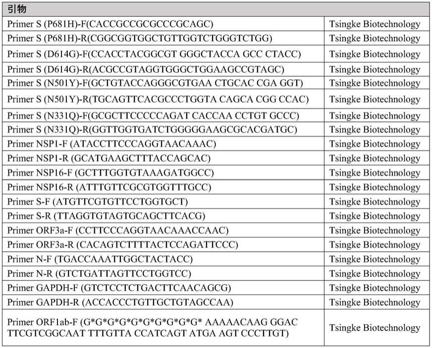 SARS-CoV-2病毒样颗粒的制备方法及其应用