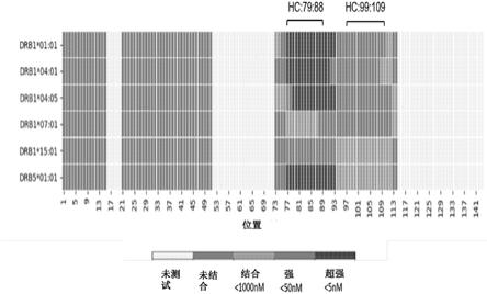 具有降低的免疫原性的抗体的制作方法