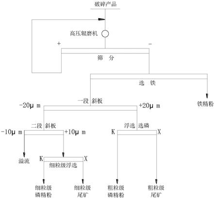 一种含磷磁铁矿高压辊磨机-分级浮选系统的制作方法