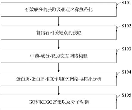 芪金合剂治疗肾结石的信息分析方法、计算机设备及应用