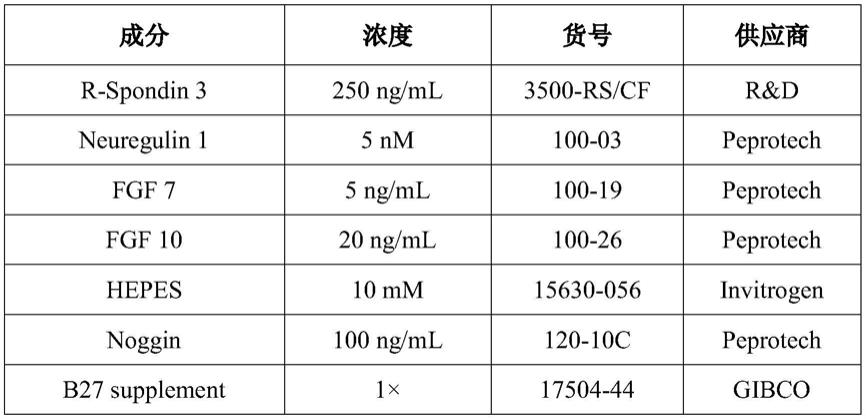 一种工程化外泌体原位纳米疫苗及其制备方法和应用