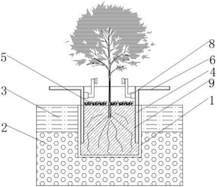 一种煤矸石山乔木栽植装置的制作方法
