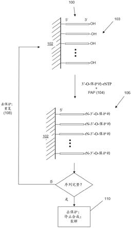 使用多(A)和多(U)聚合酶无模板酶促合成多核苷酸的制作方法